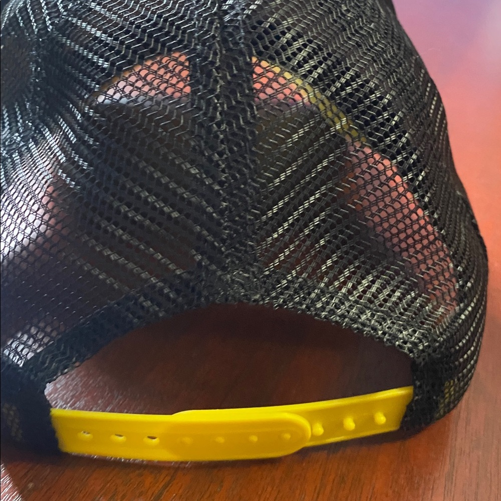 SESAME STREET Big Bird Hat Foam Adjustable Blue Black Mesh Adult OS - Picture 5 of 9